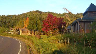 20121024-11.jpg