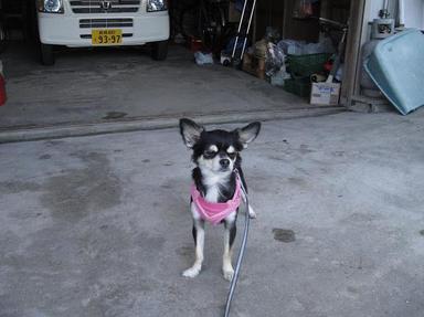 20121026-2.jpg