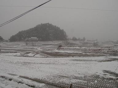 2012123-6.jpg
