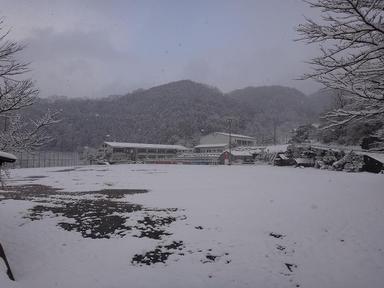 20121231-4.jpg