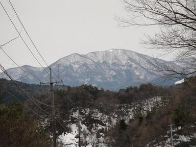 2012228-1.jpg
