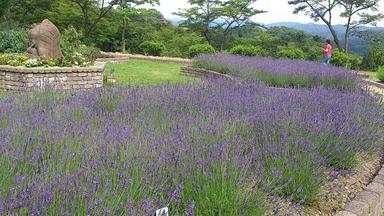 2012704-2.jpg