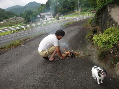 2012813-3.jpg