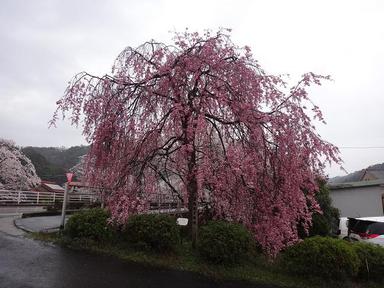2013402-4.jpg