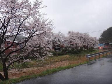 2013406-6.jpg