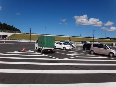 2013612-1.jpg