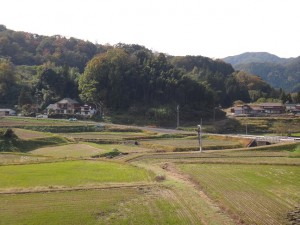 20141111-1