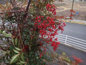 2017112-2