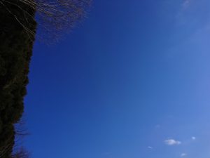 2017215-1